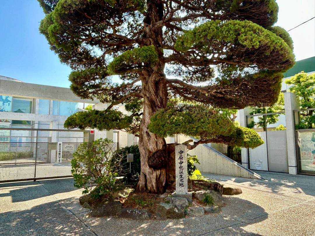 Chuya Nakahara Memorial Museum-山口市必去景点