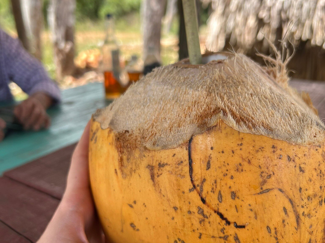 JMC Vinales Aventura-维纳勒斯必去景点