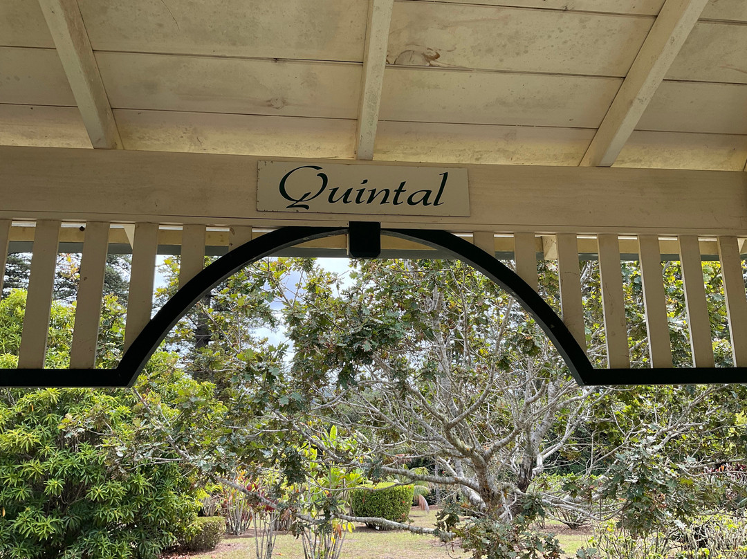 Queen Victoria's Garden-诺福克岛必去景点