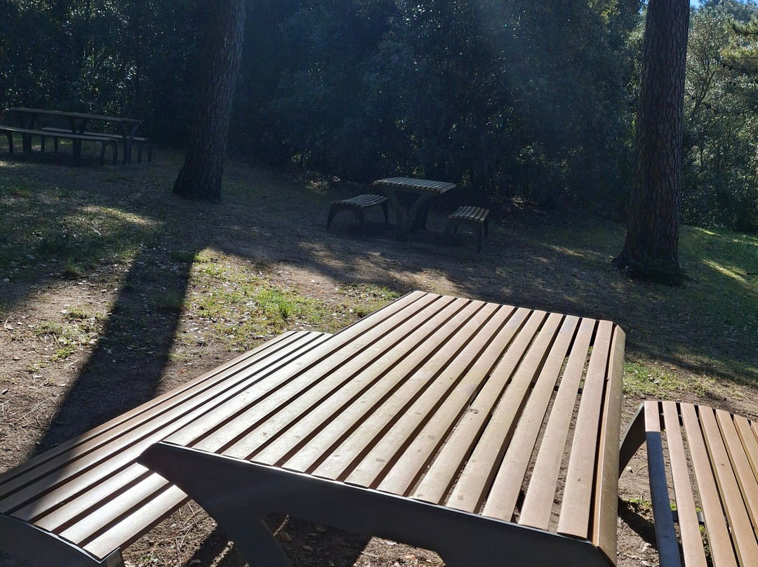 Parc des Dryades景点图片