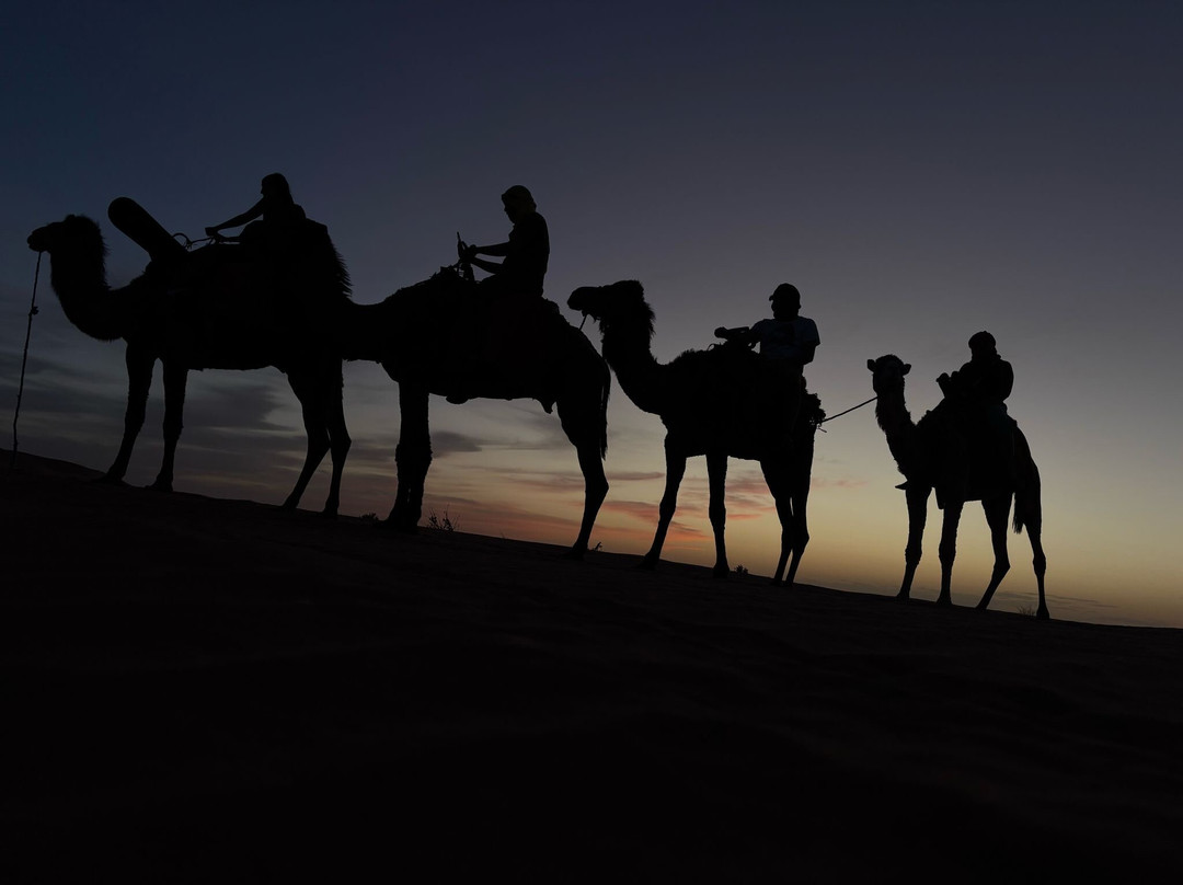 Ouarzazate Voyages-瓦尔扎扎特必去景点