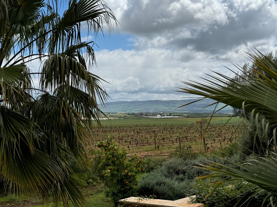 Château Roslane Boutique Hôtel & Spa主图