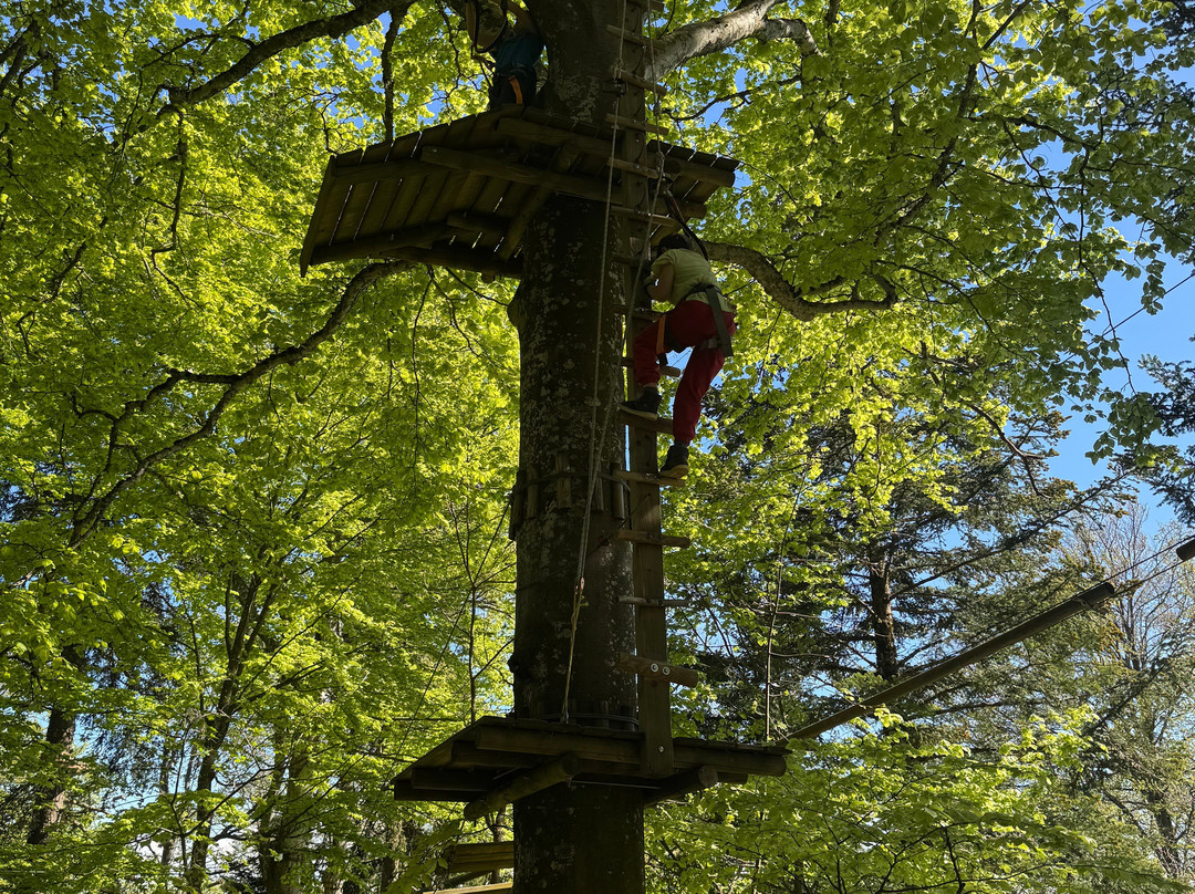 Parc Aventure Chaumont-Chaumont-de-Pury必去景点
