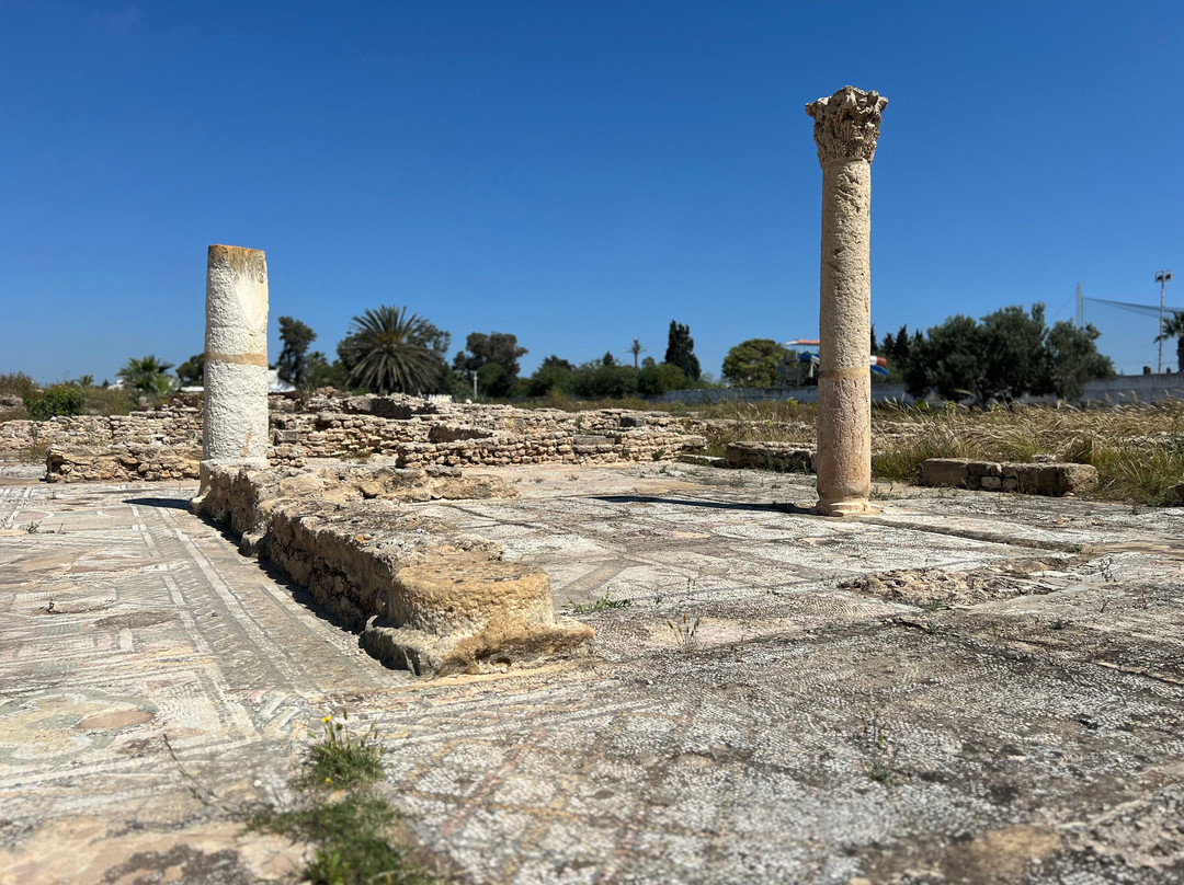 Pupput Roman Site-哈玛麦德必去景点