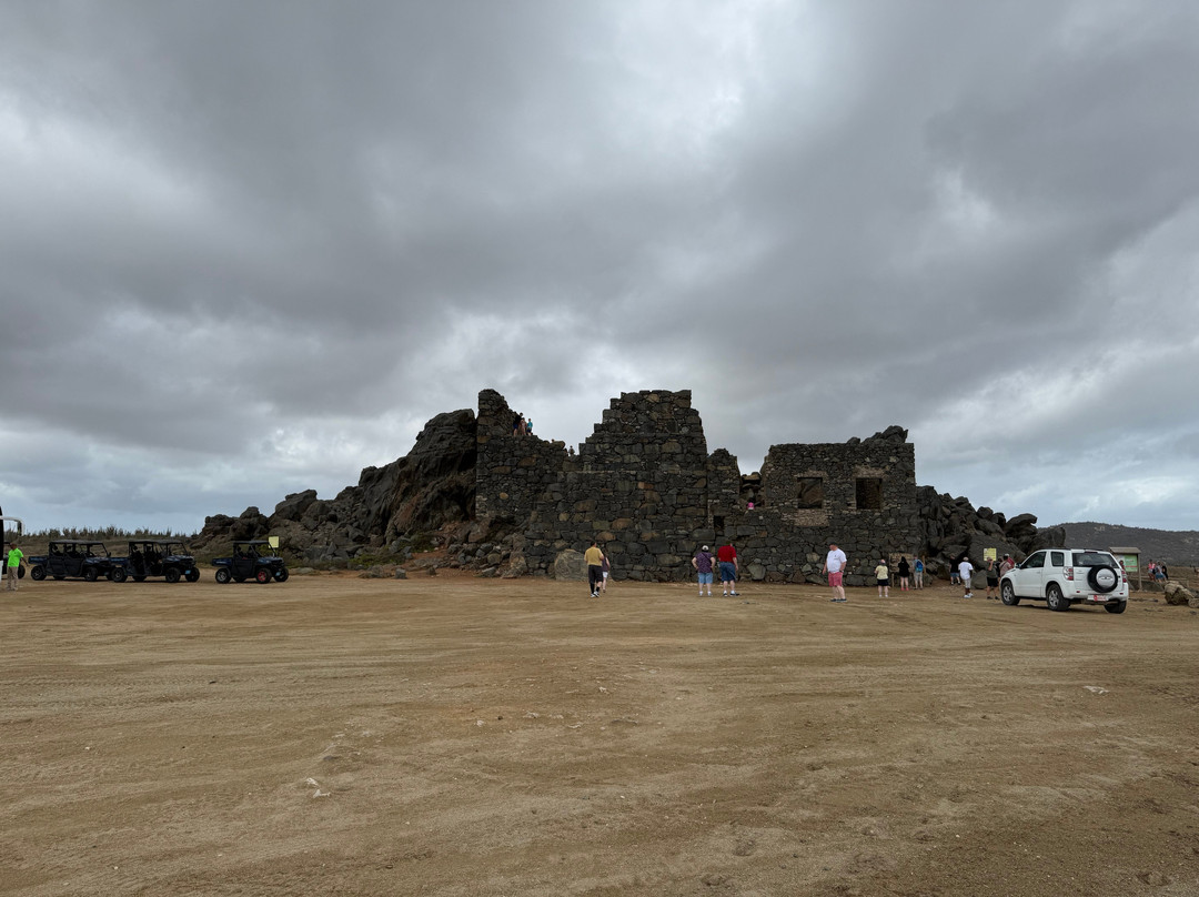 Fofoti Tours & Transfers景点图片