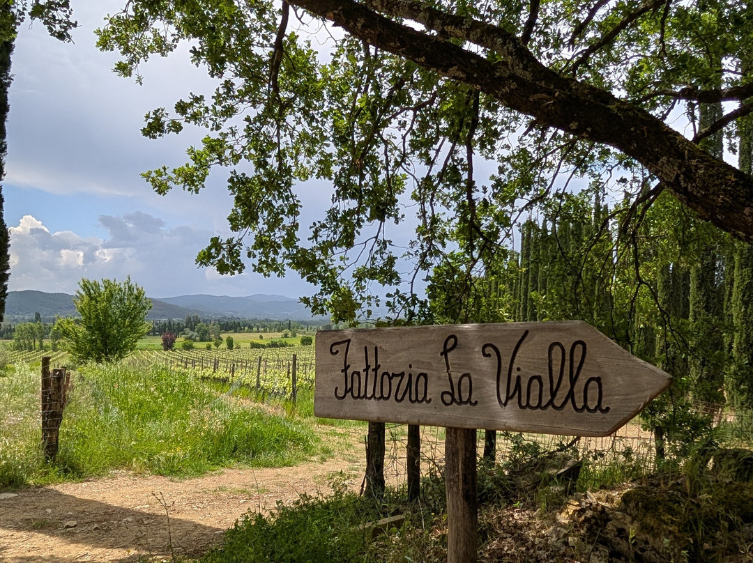 Fattoria La Vialla-Castiglion Fibocchi必去景点
