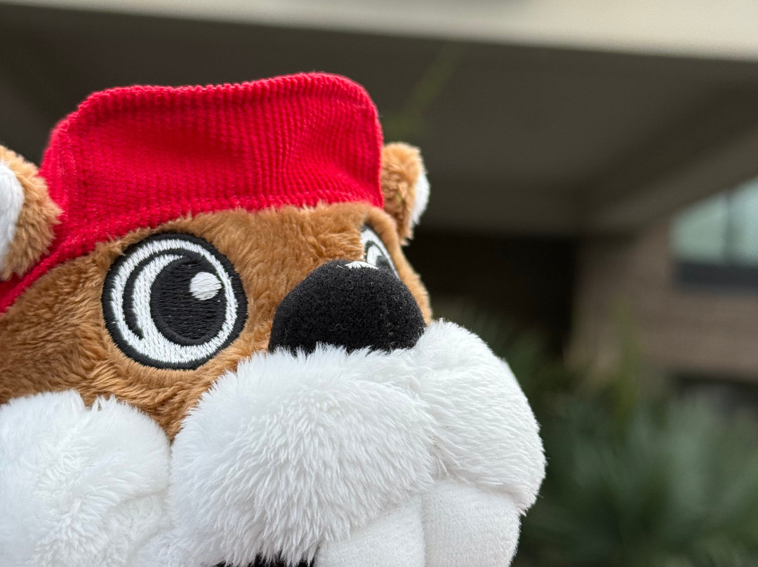 Wingate by Wyndham Columbia / Lexington主图