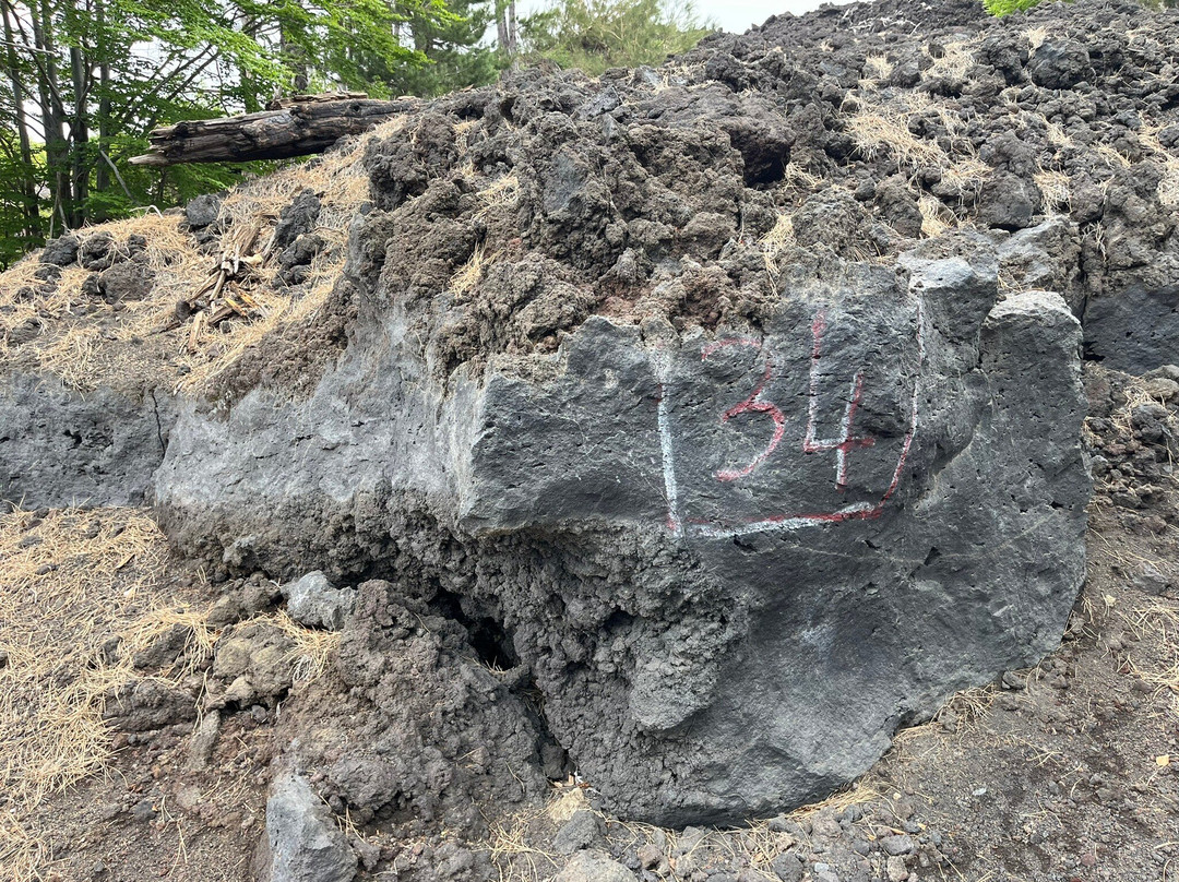 Etna Emotion-陶尔米纳必去景点