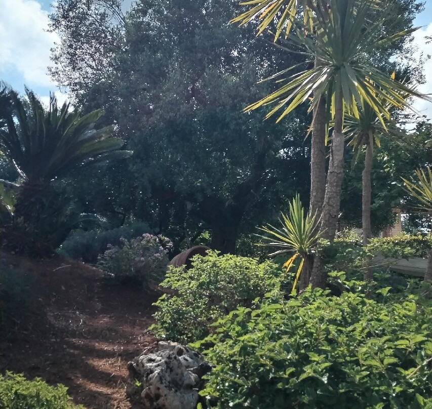 B&B All'Ombra degli Ulivi主图