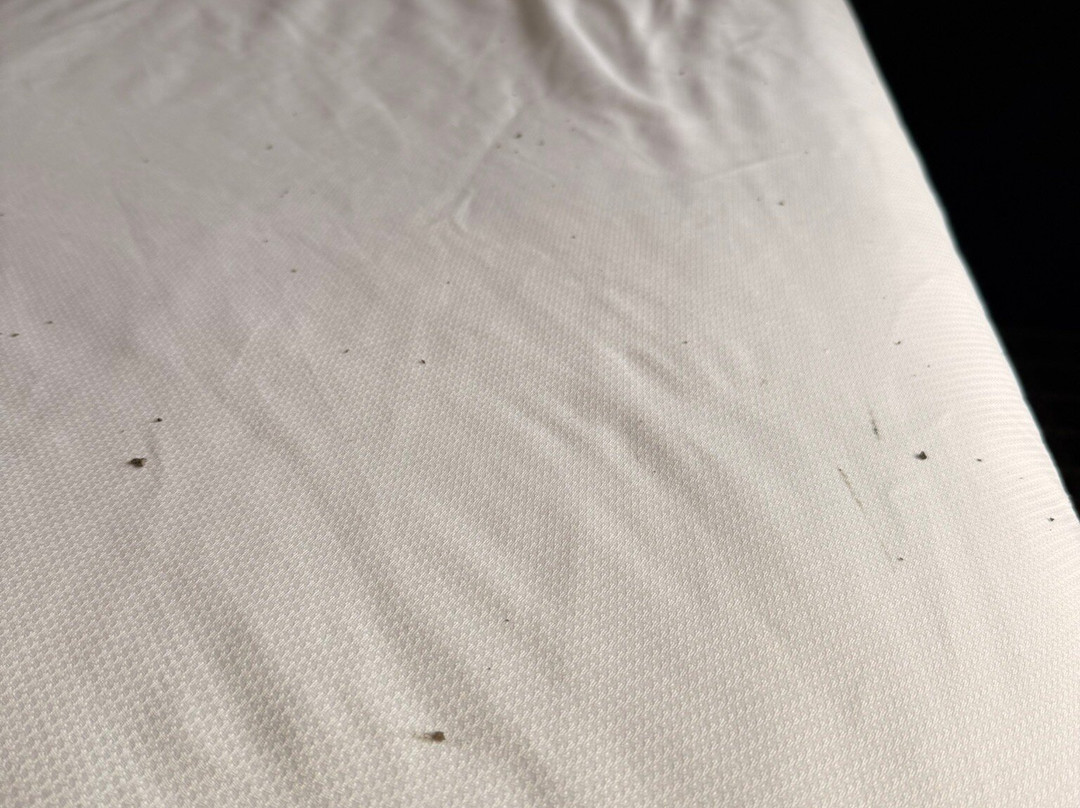 Quality Inn & Suites主图