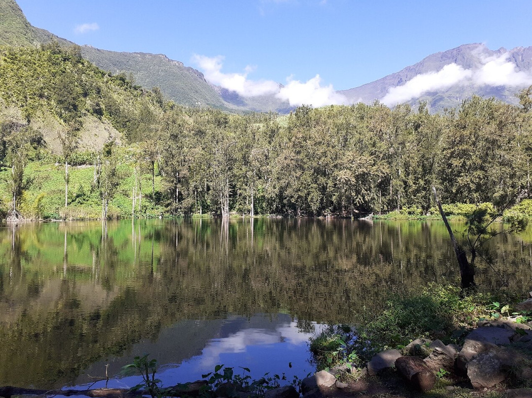 Cascade du Voile de la Mariée-Salazie必去景点