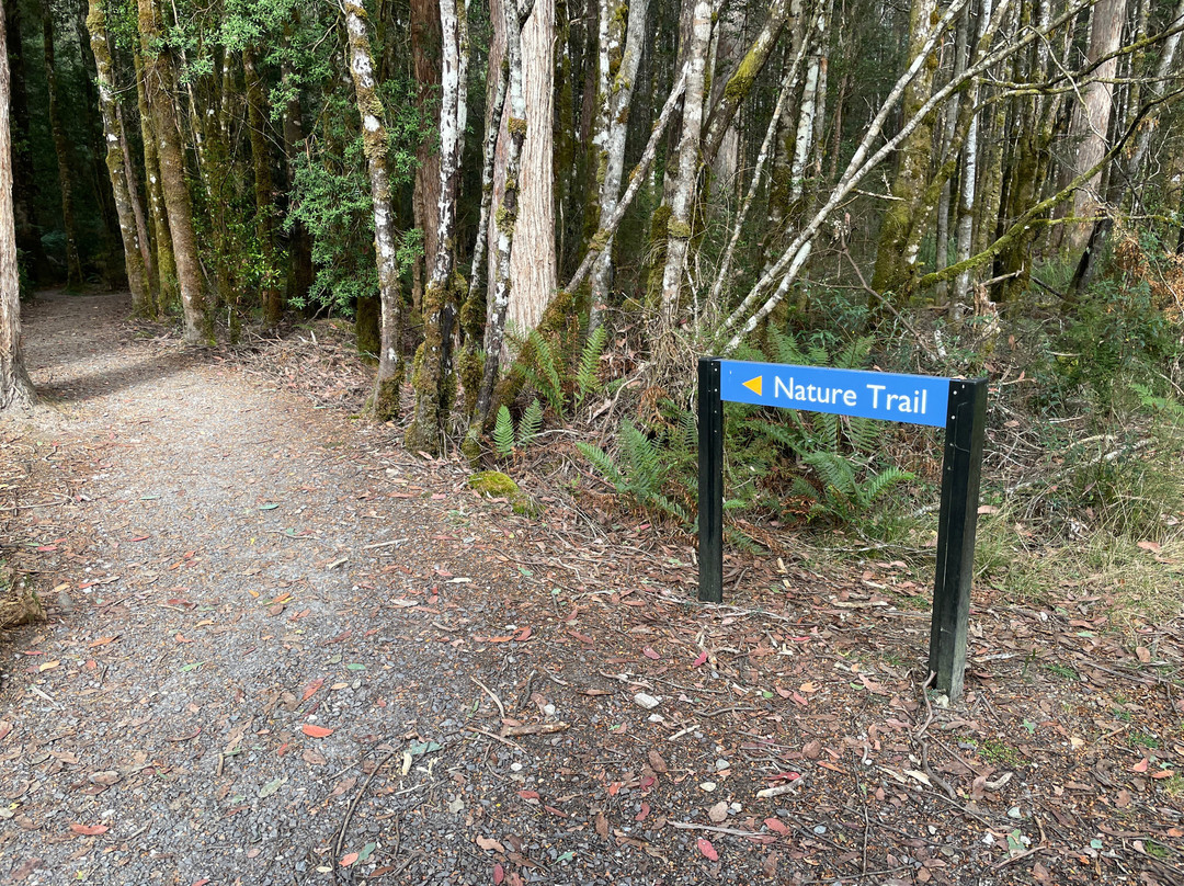 Franklin River Nature Trail景点图片