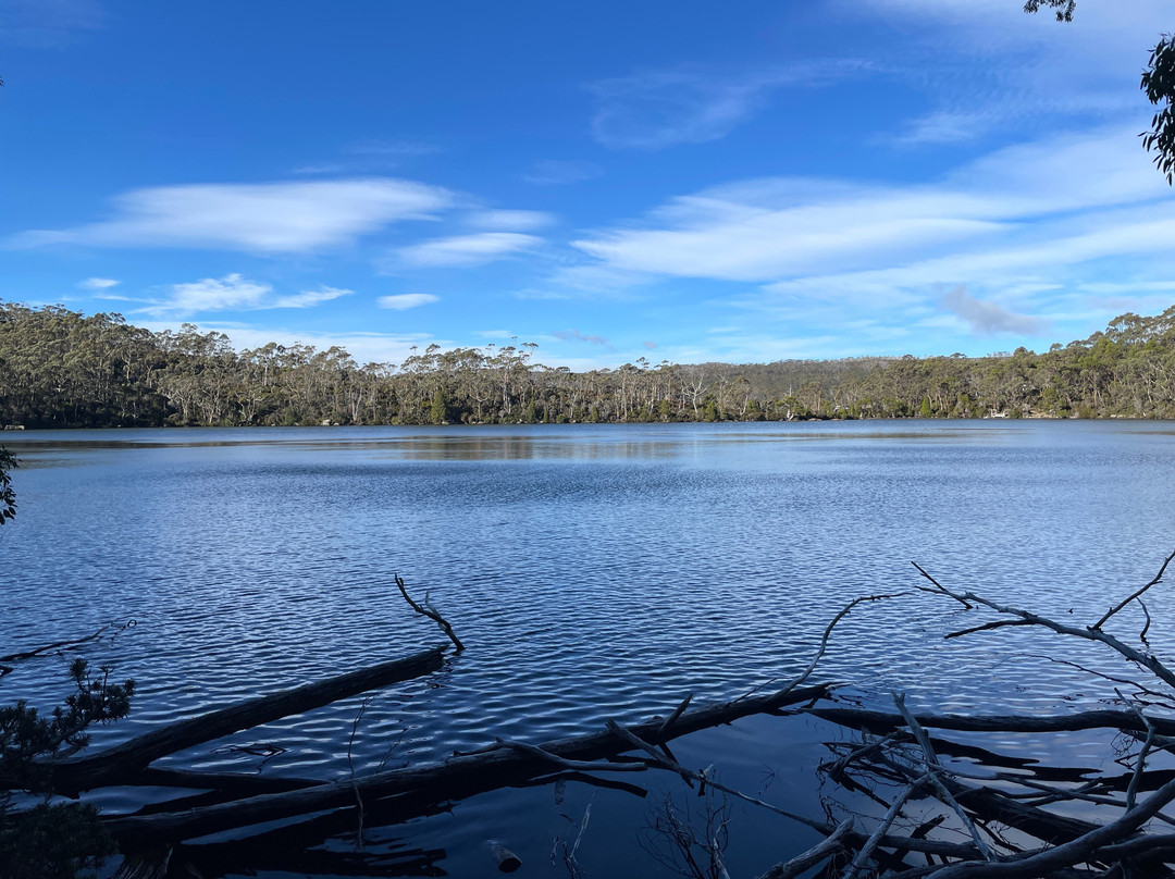 Lake Dobson景点图片