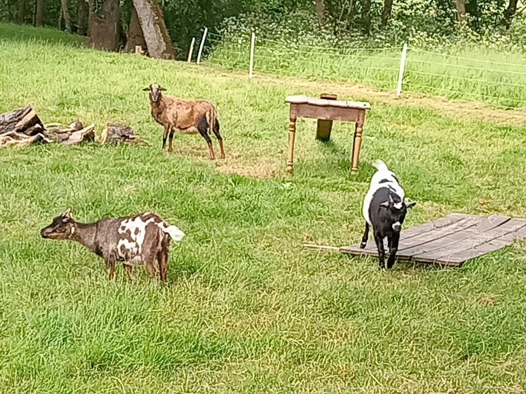 Le Moulin du Chapitre主图