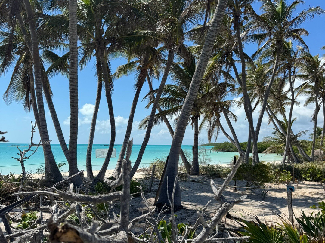 Isla Contoy National Park-Isla Contoy必去景点