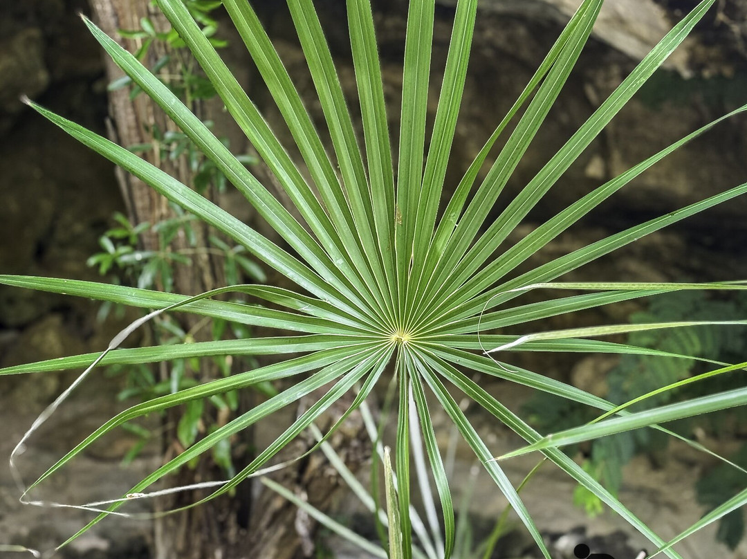 ECO Rides Cayman-East End必去景点