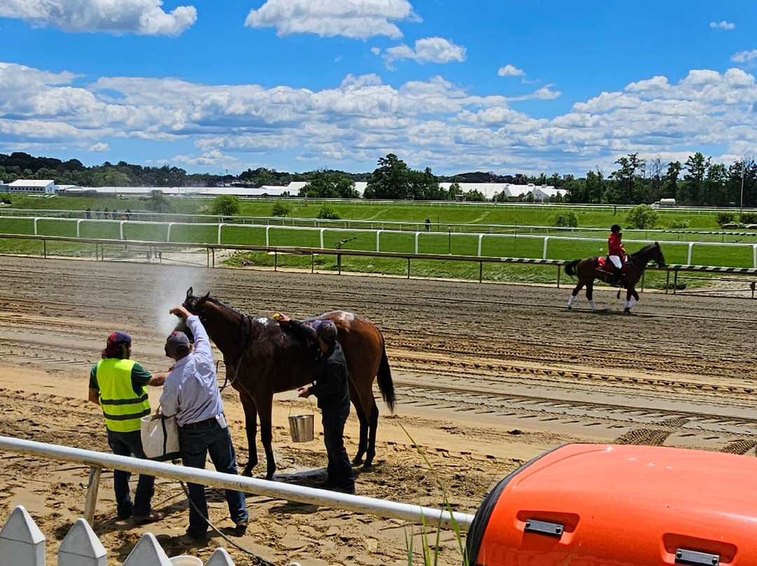 Laurel Park Race Track-Laurel必去景点