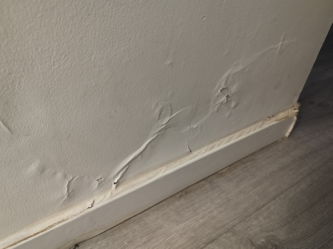 Hotel du Parc Euromedecine主图