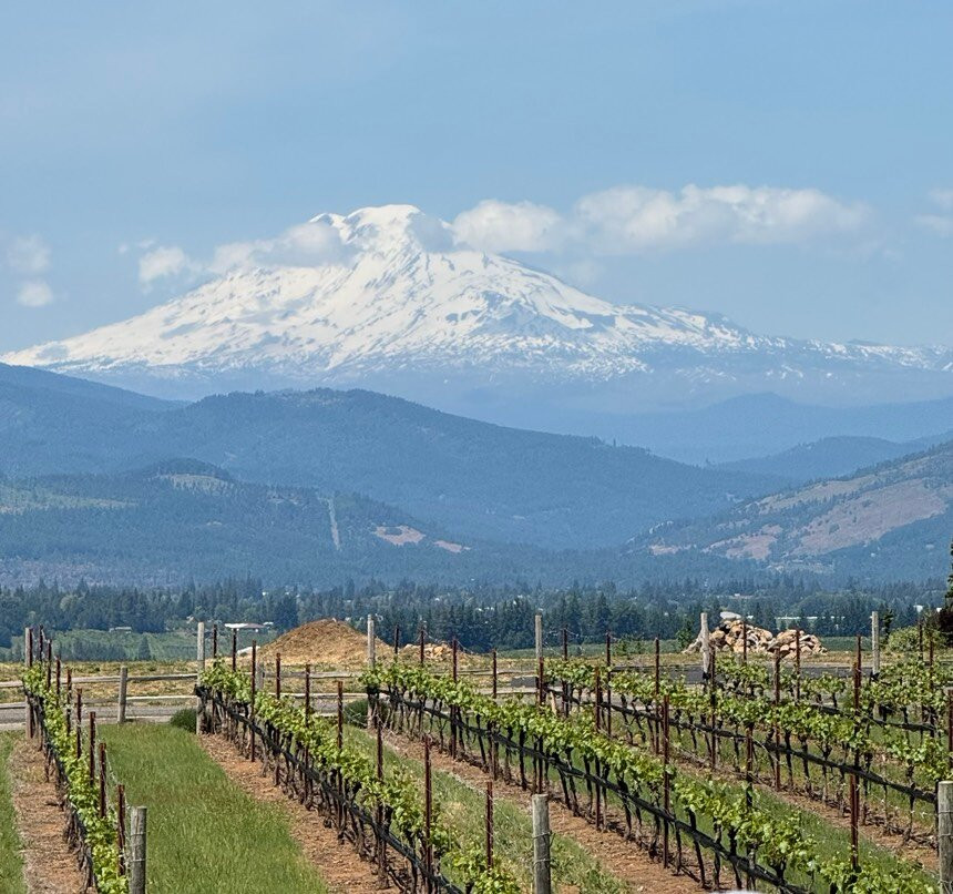 Stave & Stone Winery at the Vineyard-胡德里弗必去景点