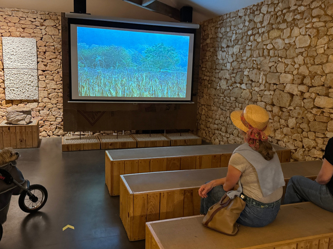 Ecomusée de la Noix-Castelnaud-la-Chapelle必去景点