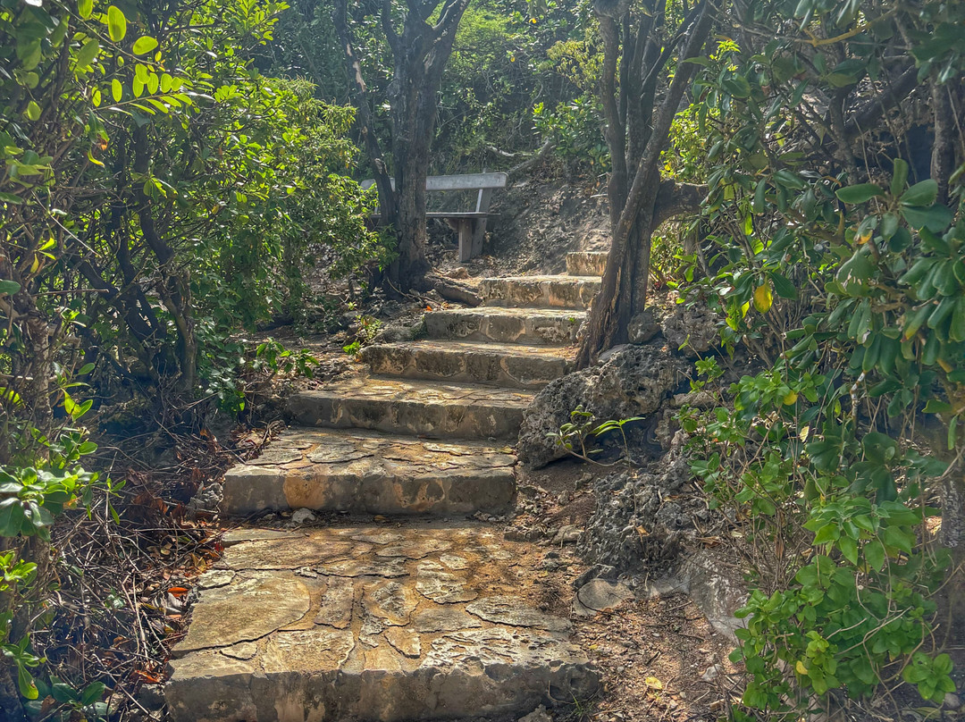 Pointe des Chateaux-Saint Francois必去景点