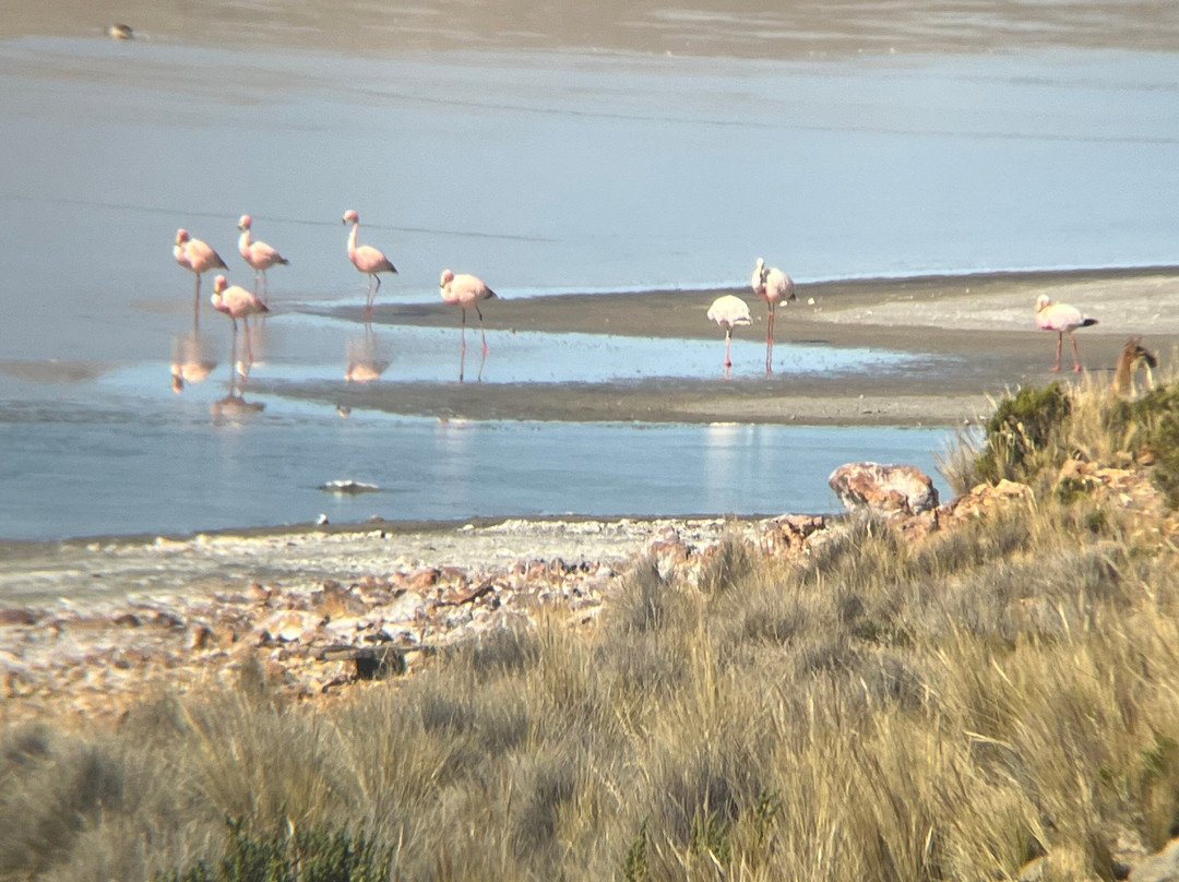 Góndola Tours-阿雷基帕必去景点