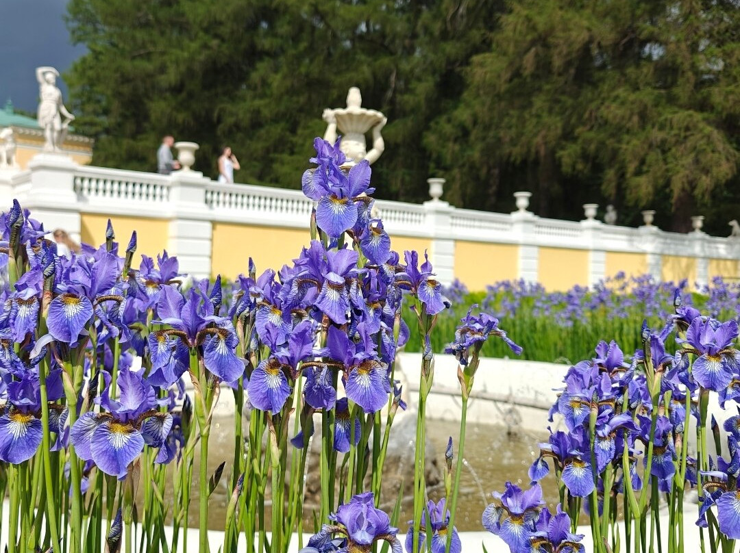 Arkhangelskoye Museum-Reserve景点图片