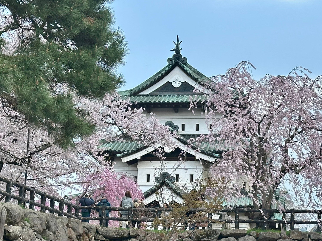 Shore Excursions Asia-下龙湾必去景点