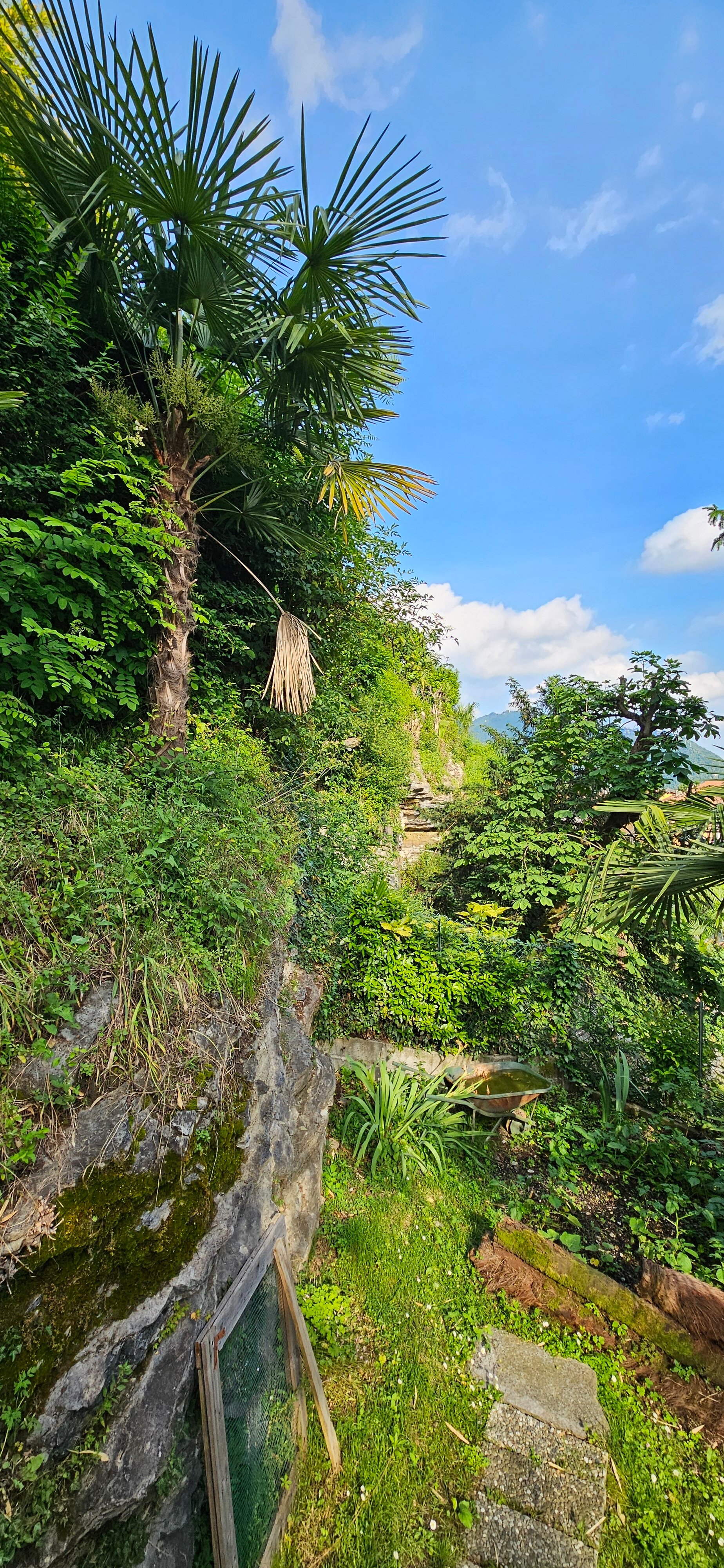 Il Giardino Botanico Bed and Breakfast-官方