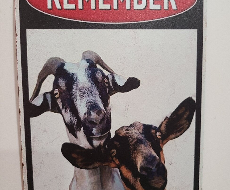 Two Drunken Goats-Singer Island必去景点