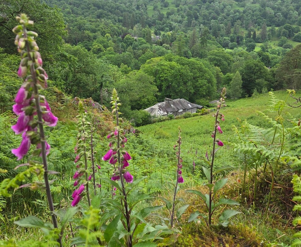 Rydal Cave景点图片
