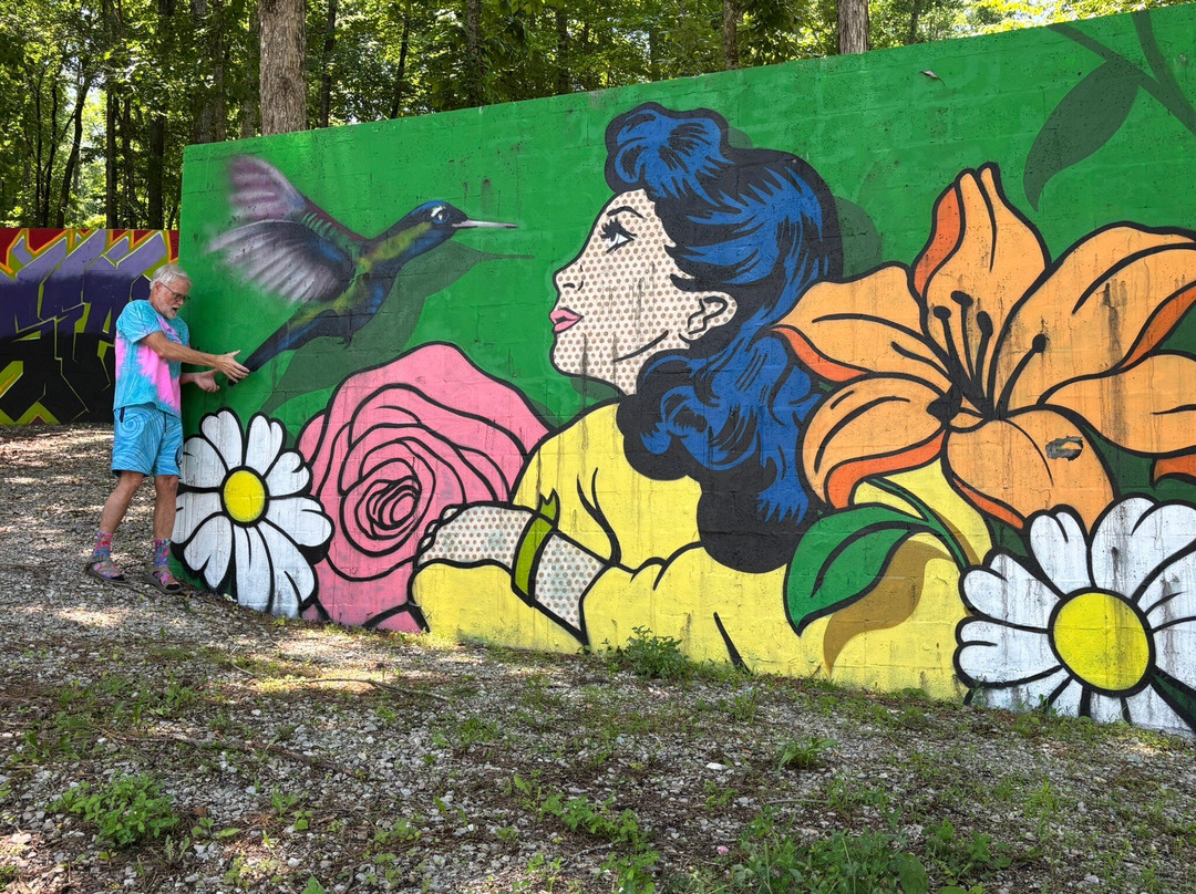 The Walls Art Park-Waverly必去景点