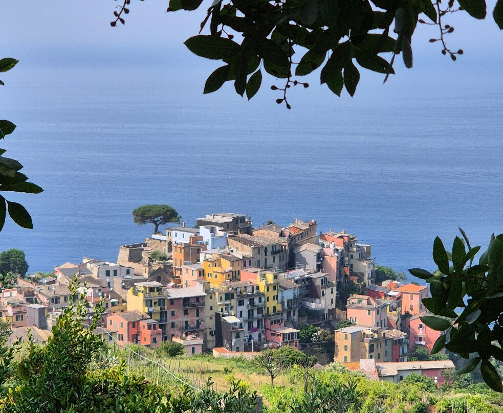 Creuza de 5 Terre主图