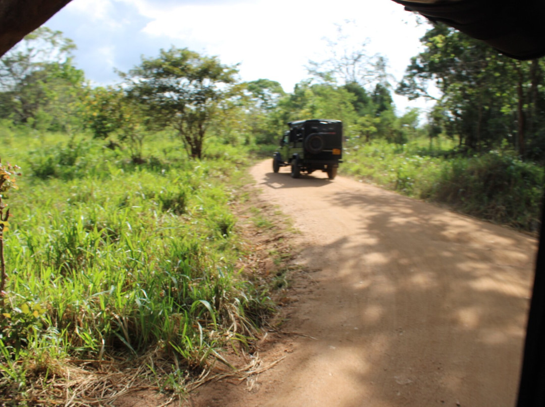 Sanju Jeep Safari & Taxis景点图片