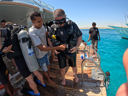 Dive Club Port Ghalib & Marsa Alam Diving Center-马萨阿拉姆必去景点