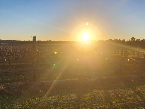 Heritage Estate Winery-Cottonvale必去景点