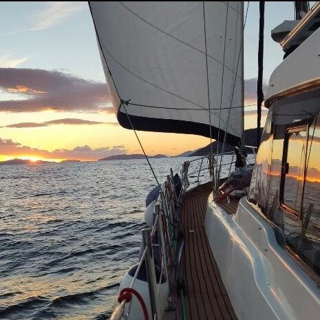 Magic Unicorn Yacht Tours景点图片