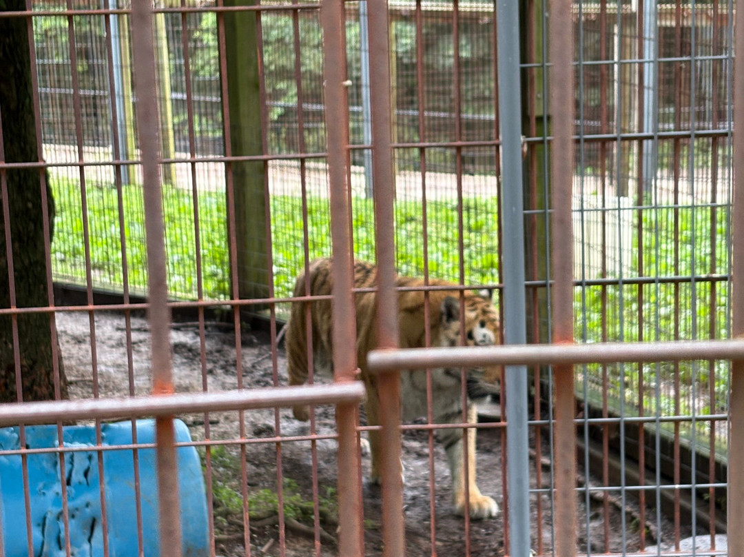 Crown Ridge Tiger Sanctuary Lodging主图