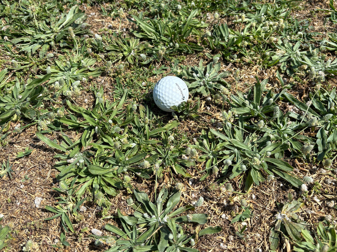 Afandu Golf Course-Afandou必去景点