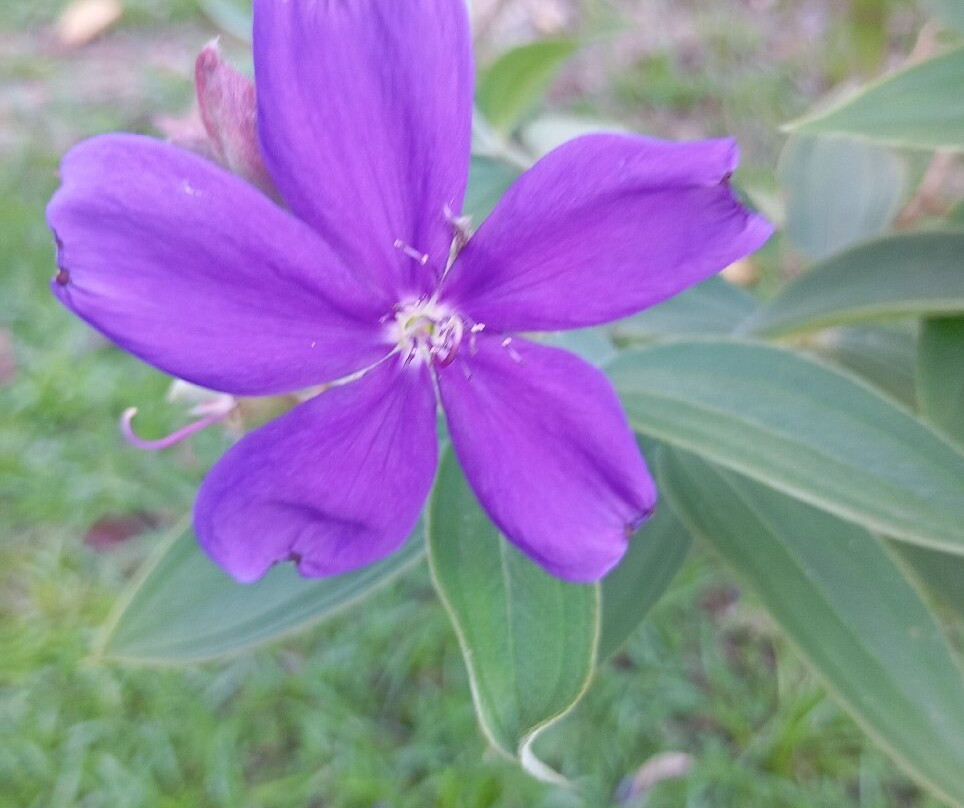 Malou Et Son Verger-Roura必去景点