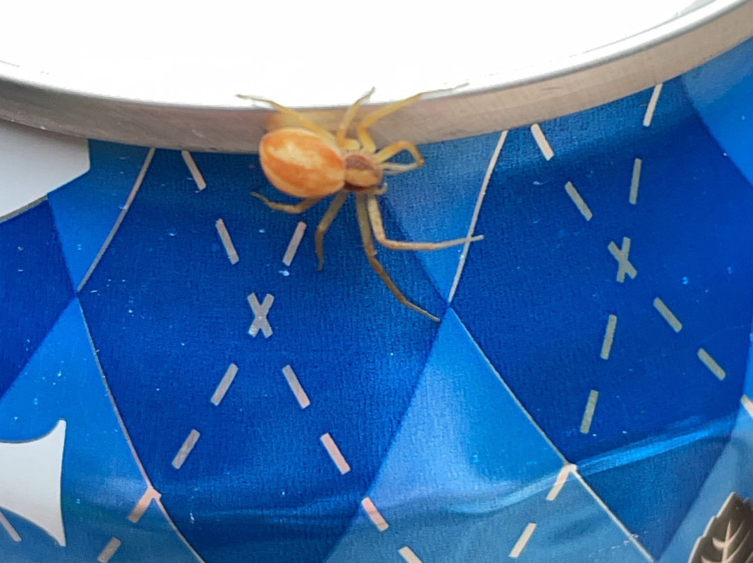 Emily Provincial Park-Kawartha Lakes必去景点