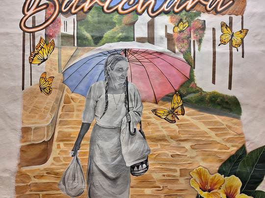 Wolf Tours Colombia-巴里查拉必去景点