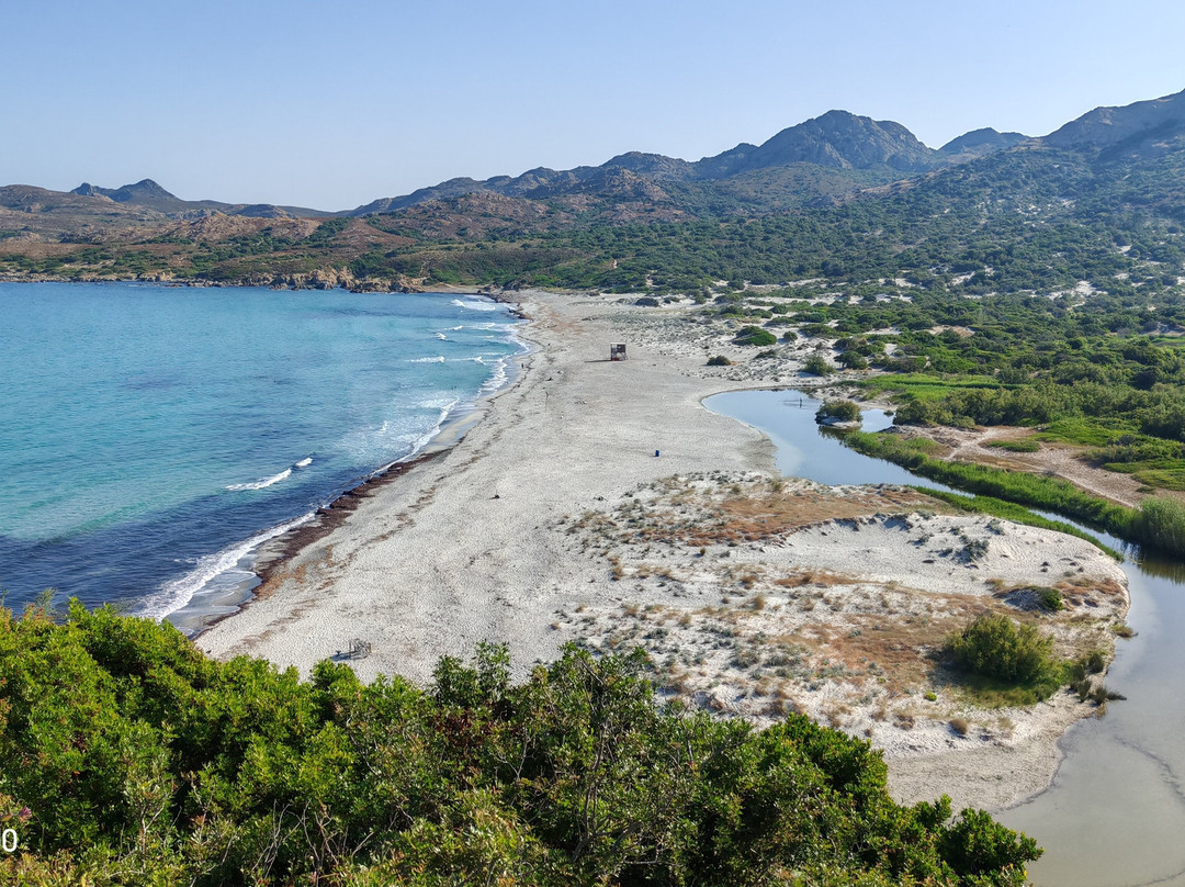 Plage de l'Ostriconi-Palasca必去景点
