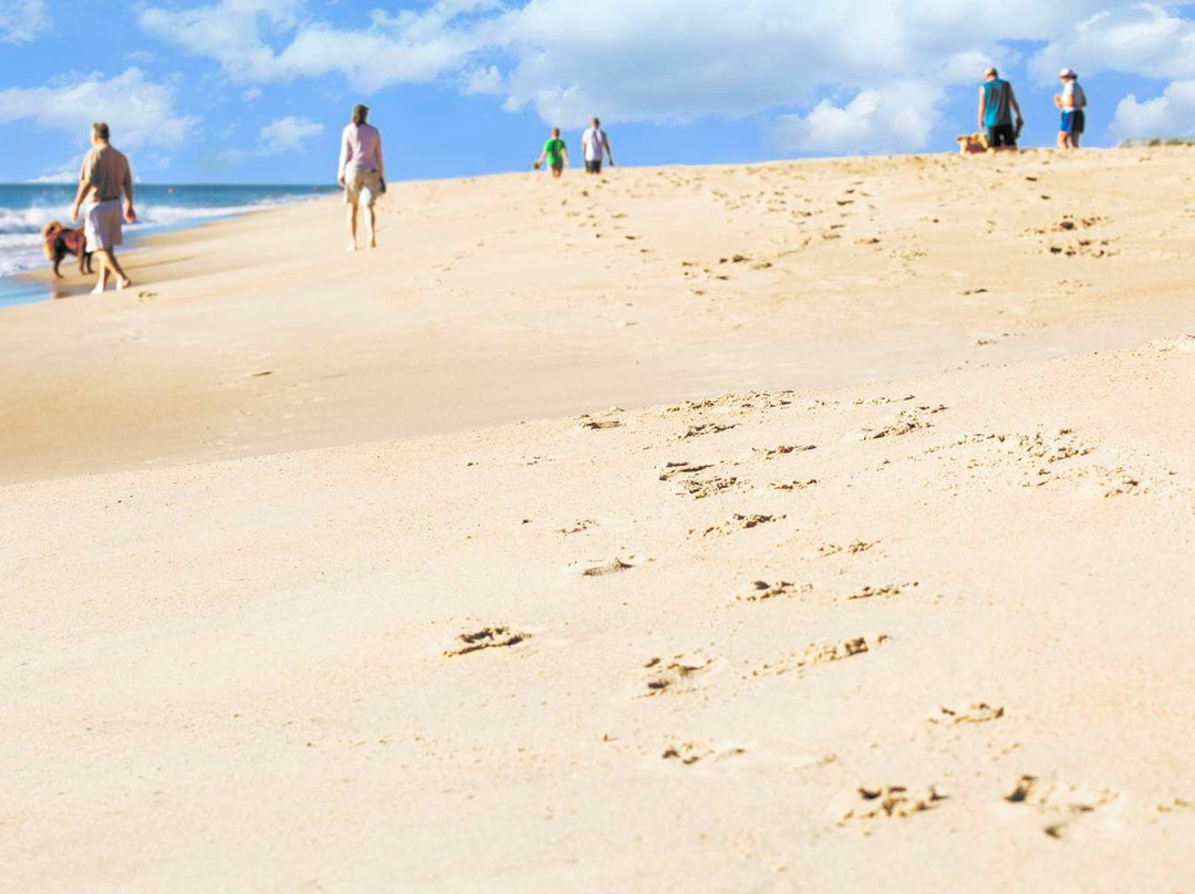 Hyatt Place Dewey Beach