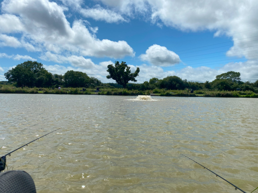 Flintshire旅游景点-Stamford Way Fisheries and Camping