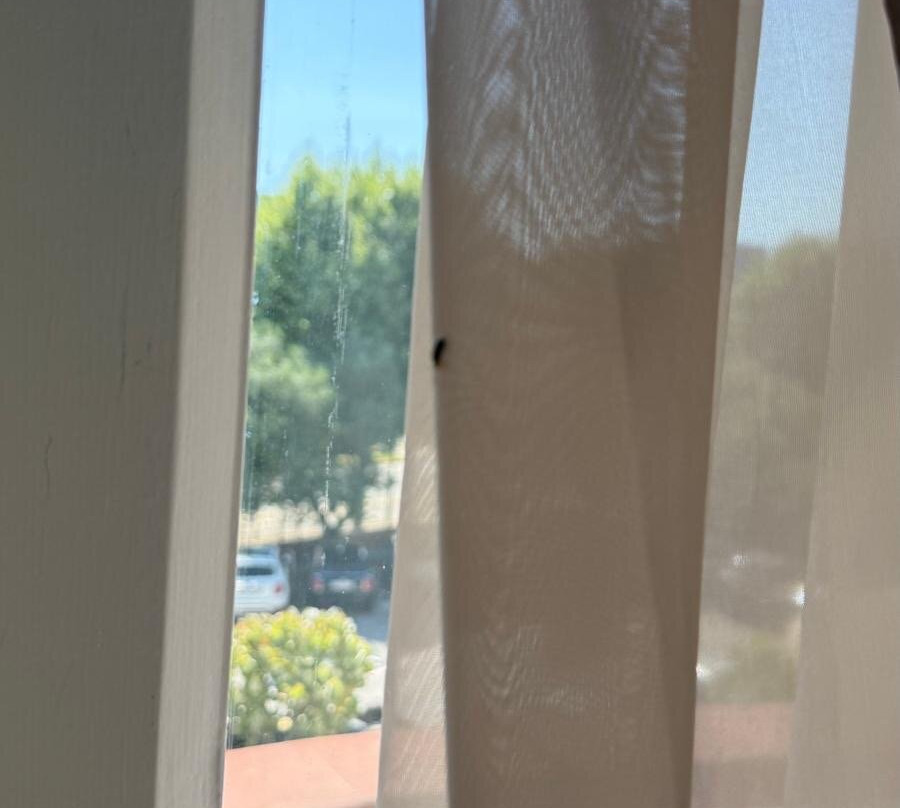 Ampuria Inn Hotel主图