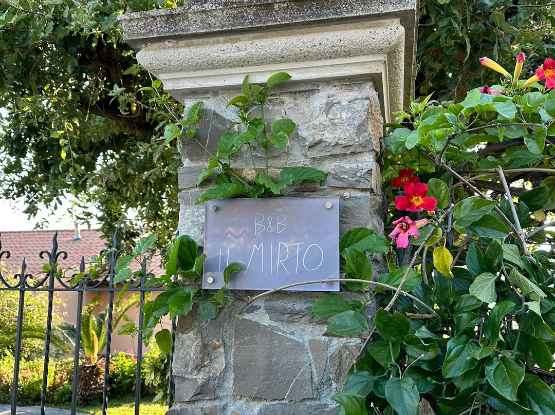 Il Mirto Bed and Breakfast主图
