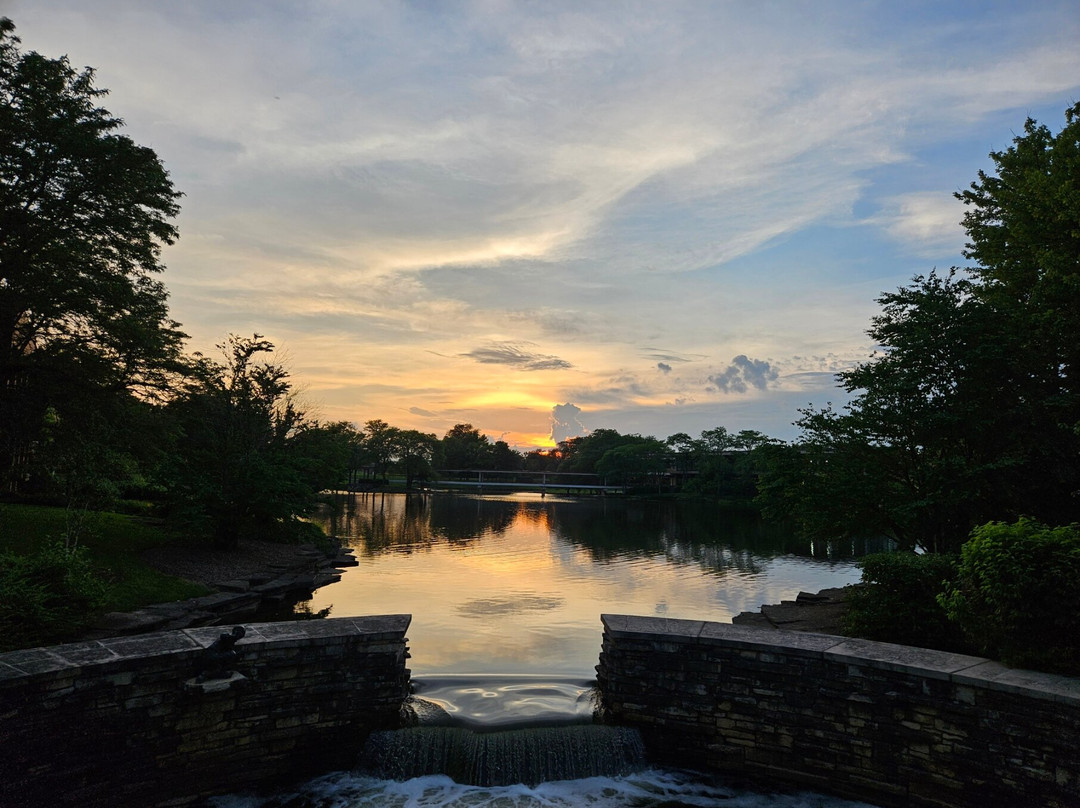 麦当劳坎帕斯凯悦酒店主图