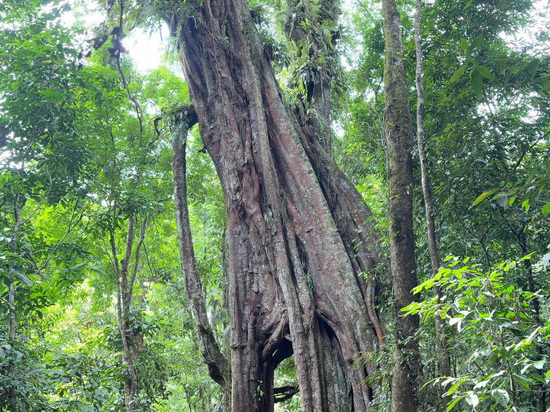 Friendship Guesthouse & Restaurant主图