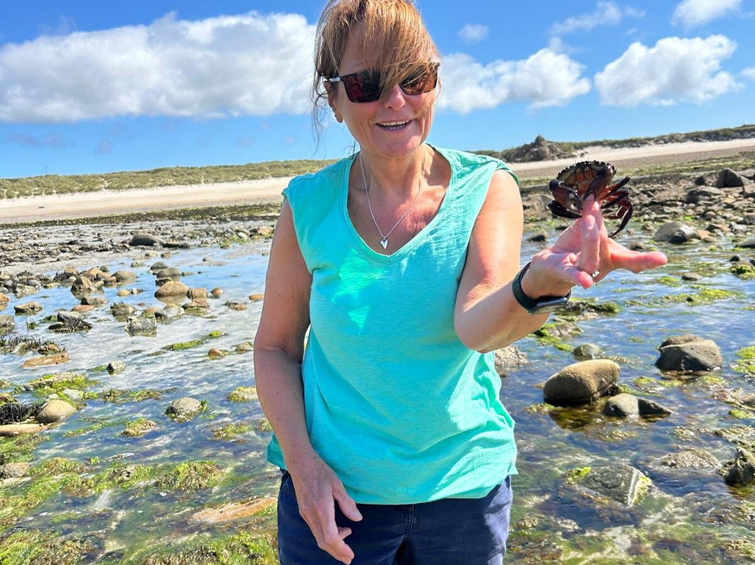 Guernsey Seaweed Foraging Tours-Castel必去景点